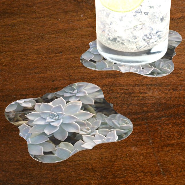 Beautiful Succulents Botanical Photographic Paper Coaster (Creator Uploaded)