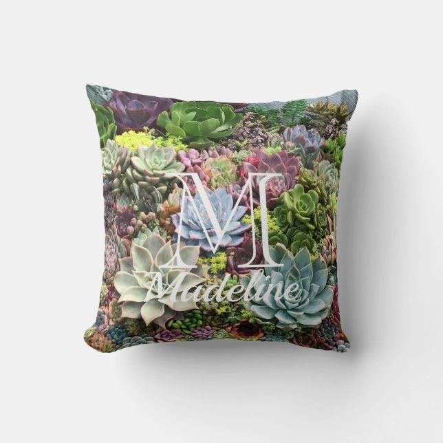 Beautiful Succulents Cushion (Front)