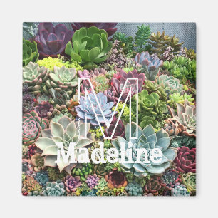 Beautiful Succulents Magnet