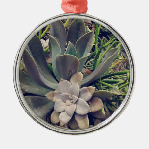 Beautiful Succulents Metal Ornament