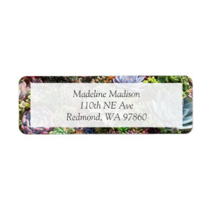 Beautiful Succulents Return Address Label
