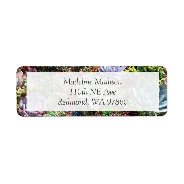 Beautiful Succulents Return Address Label (Front)