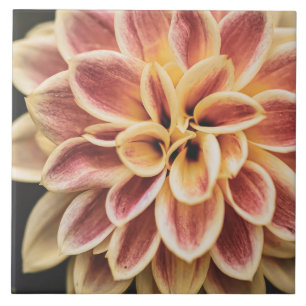 Beautiful Summer Dahlia Flower (Pretty Floral Art) Ceramic Tile