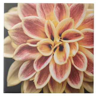 Beautiful Summer Dahlia Flower (Pretty Floral Art) Ceramic Tile