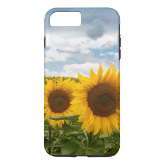 beautiful summer sunflowers iPhone 8 plus/7 plus case