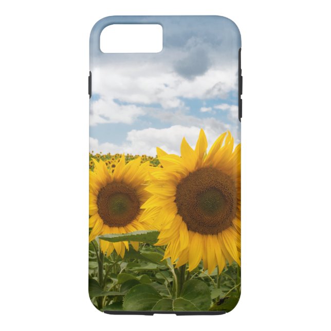 beautiful summer sunflowers Case-Mate iPhone case (Back)