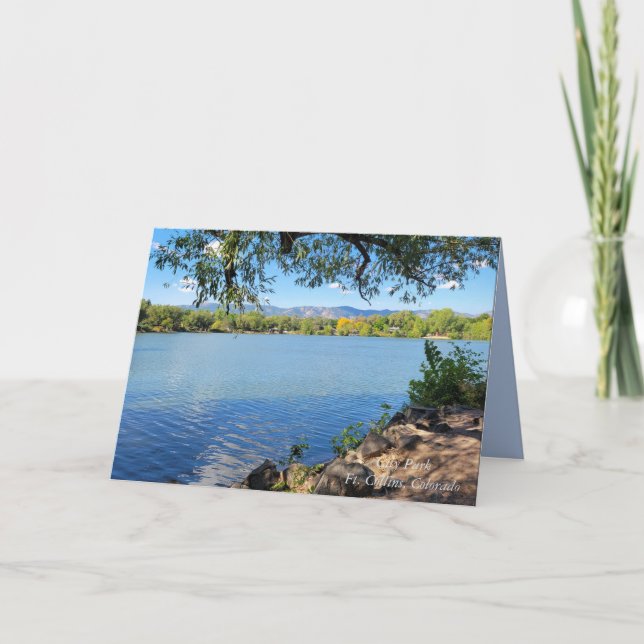 Beautiful Summer's Day City Park Fort Collins CO   Card (Front)