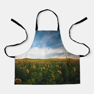 beautiful sun flowers field with cloudy blue sky a apron