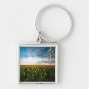 beautiful sun flowers field with cloudy blue sky a key ring