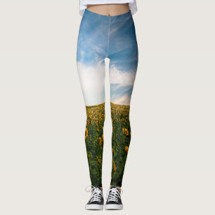 beautiful sun flowers field with cloudy blue sky a leggings
