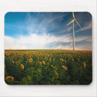 beautiful sun flowers field with cloudy blue sky a