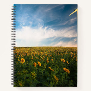 beautiful sun flowers field with cloudy blue sky a notebook