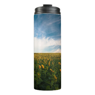 beautiful sun flowers field with cloudy blue sky a thermal tumbler