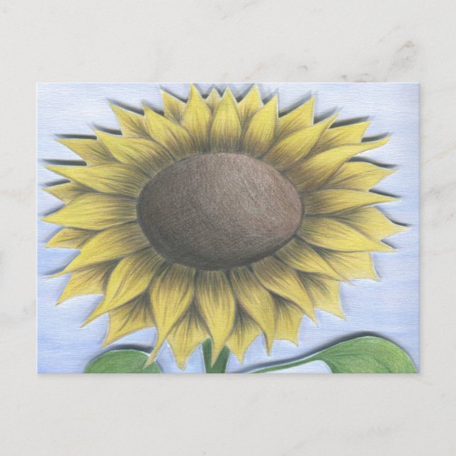 Beautiful Sunflower Drawing Postcard (Front)
