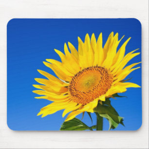 Beautiful Sunflower Mouse Pad