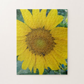 Beautiful Sunflower Photo  Jigsaw Puzzle