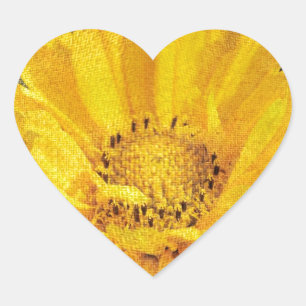 Beautiful Sunflower with Dark Brown Background Heart Sticker