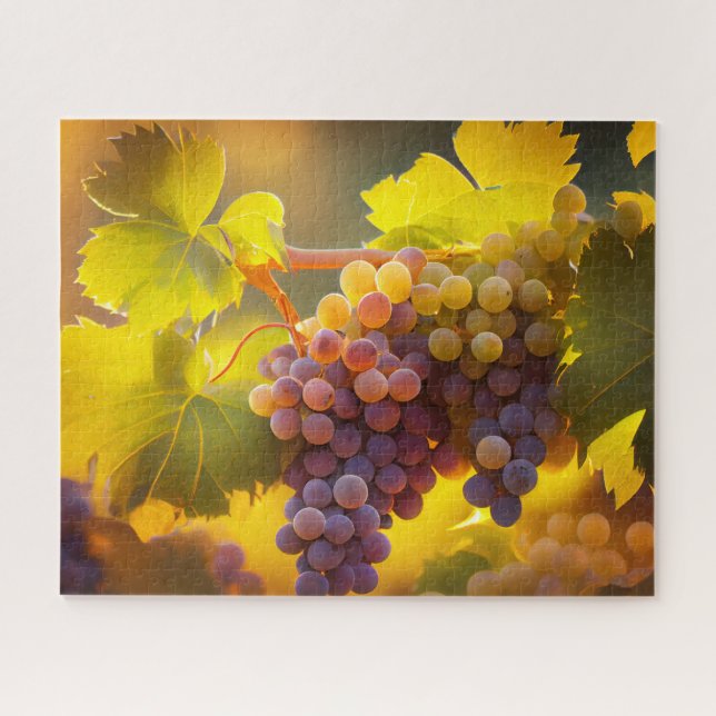 Beautiful Sunlight on Vineyard Grapes  Jigsaw Puzzle (Horizontal)