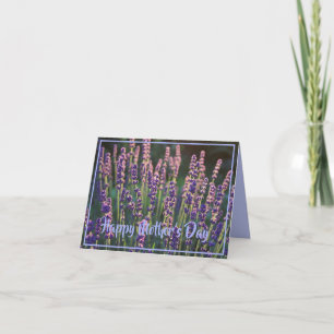 Beautiful Sunlit Lavender Flowers Mother's Day Card