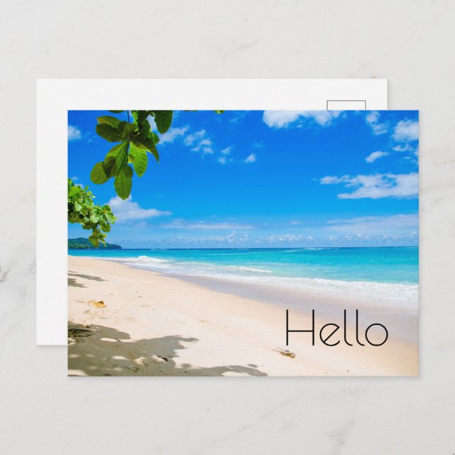 Beautiful Sunny Tropical Beach Photo Hello Postcard (Front/Back)