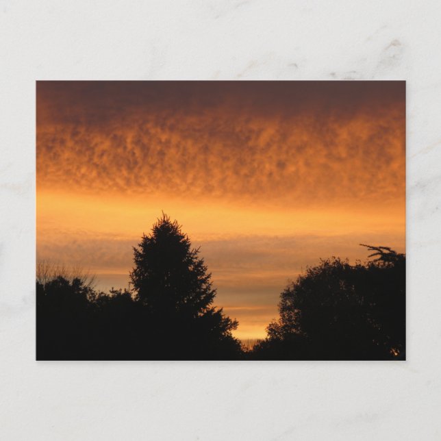 Beautiful Sunrise Postcards (Front)