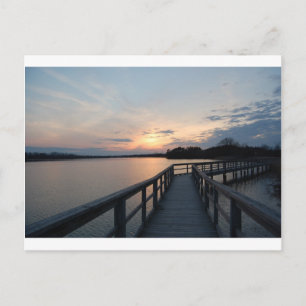 Beautiful Sunset On a Dock Postcard