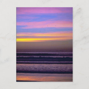 Beautiful Sunset: Pacific Beach, California Postcard
