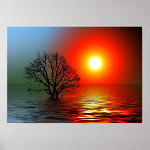 Beautiful Sunset Poster