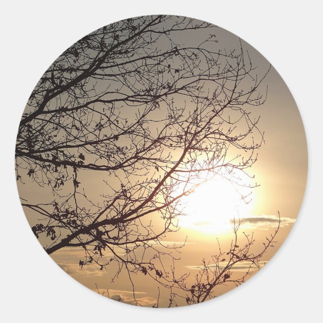 Beautiful sunset with branchs classic round sticker (Front)