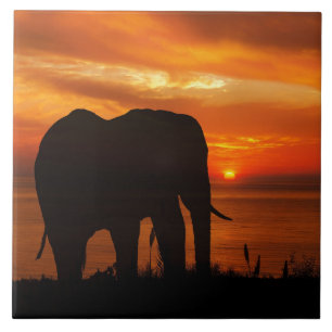 Beautiful Sunset with Silhouette of Elephant Ceramic Tile