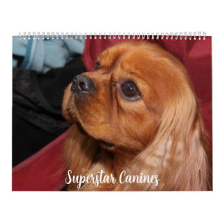 BEAUTIFUL SUPERSTAR CANINE DOGS CALENDAR