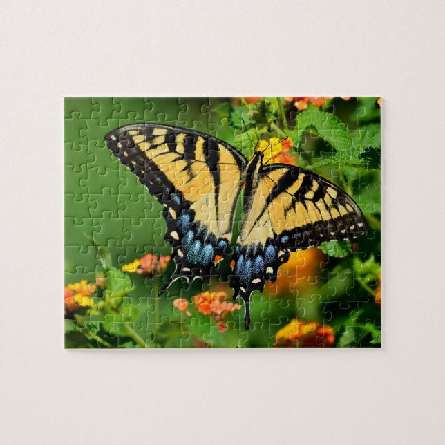 Beautiful Swallowtail Butterfly Jigsaw Puzzle (Horizontal)