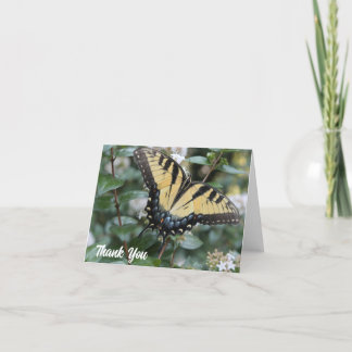 Beautiful swallowtail butterfly photo - thank you card