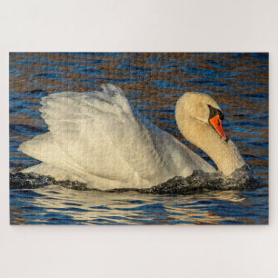 Beautiful Swan and Blue Water   Jigsaw Puzzle