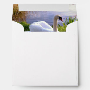 Beautiful Swan Birds Animals Envelopes