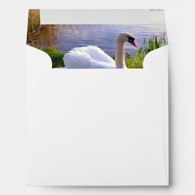 Beautiful Swan Birds Animals  Envelopes (Back (Bottom))