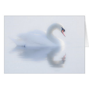 Beautiful Swan Card