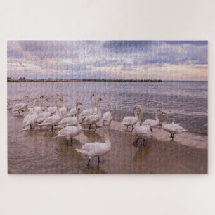 Beautiful Swans in the Morning Puzzle