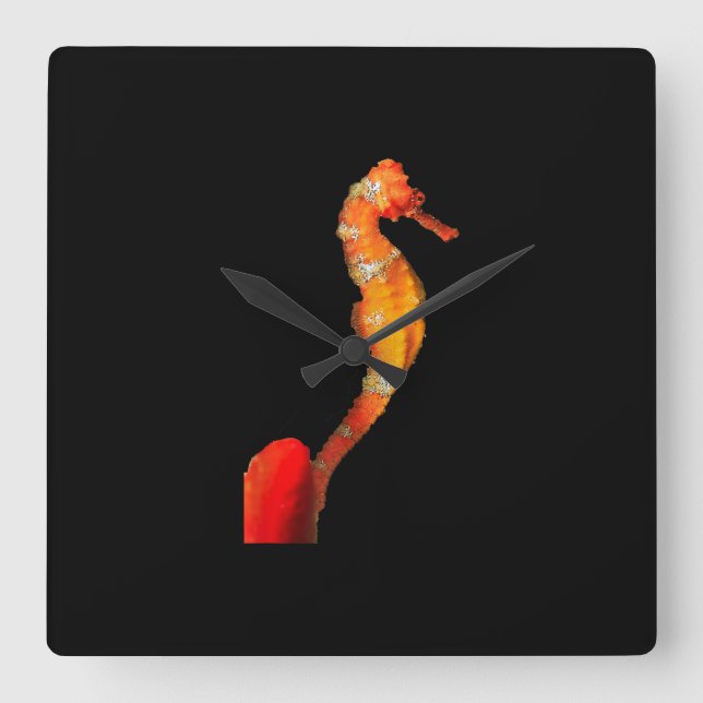 Beautiful Swimming Seahorse Figure On Front Square Wall Clock (Front)