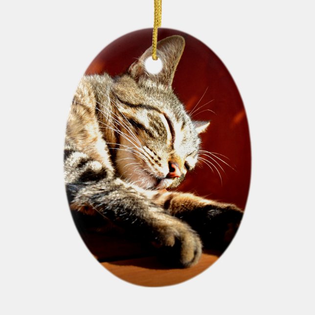 Beautiful tabby cat ceramic tree decoration (Front)