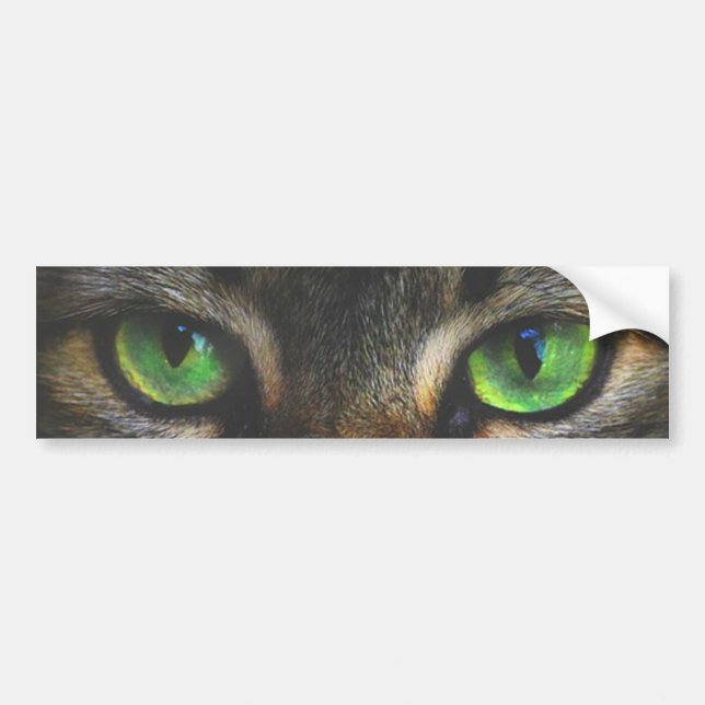 Beautiful Tabby cat eyes Bumper Sticker (Front)
