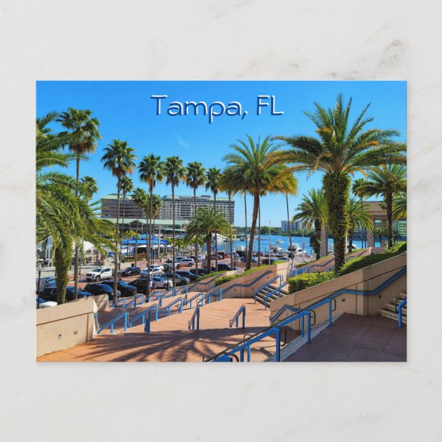 Beautiful Tampa, Florida Postcard (Front)