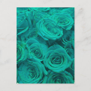 Beautiful teal green roses teal flowers  postcard