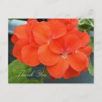 Beautiful Thank You Post-Card