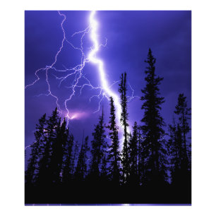 beautiful thunder over the forest photo print