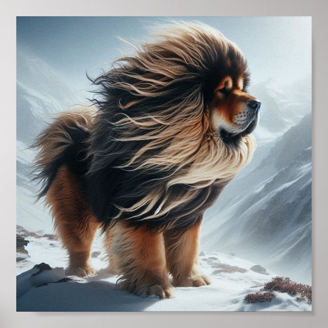 beautiful Tibetan Mastiff Poster (Front)