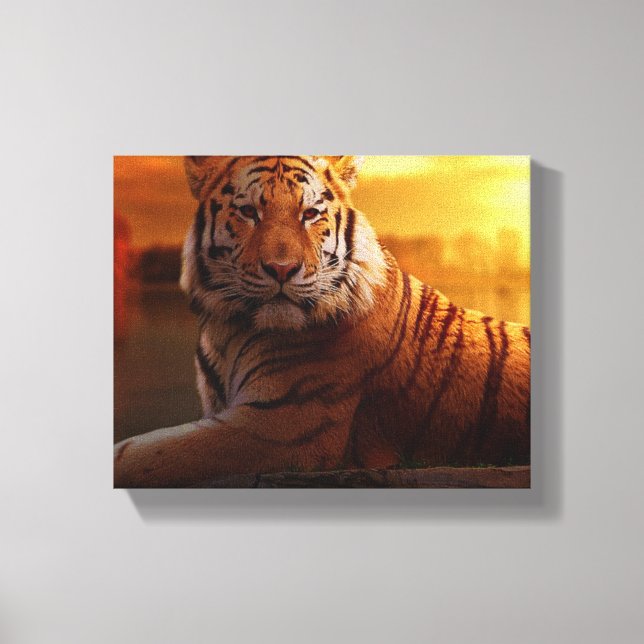 Beautiful Tiger  Canvas Print (Front)