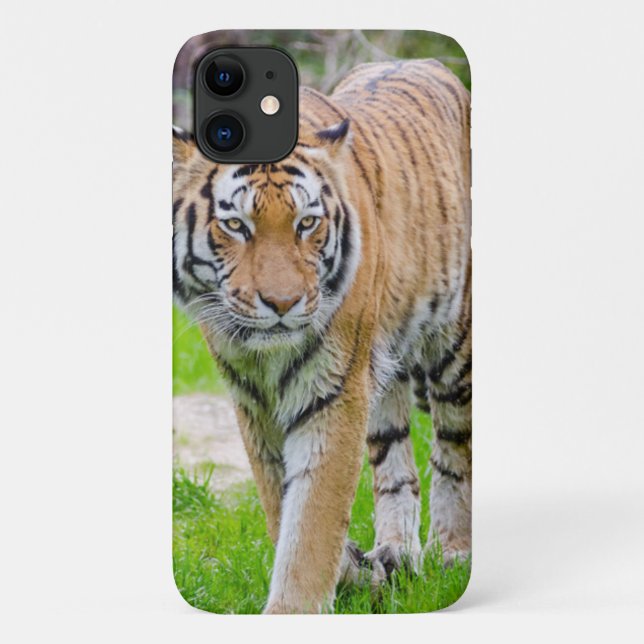 Beautiful Tiger Case-Mate iPhone Case (Back)