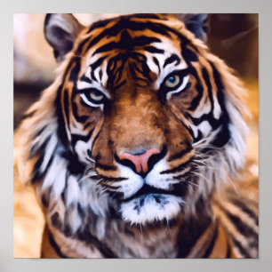 Beautiful Tiger Cat Face   Painted Jungle Wildlife Poster
