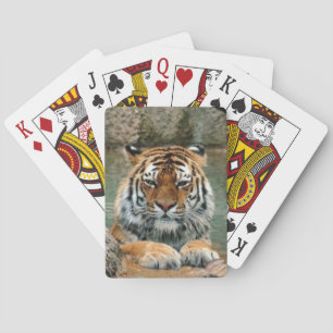 Beautiful Tiger Deck of Playing Cards